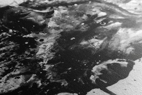 SLIKA VOLK V AKVAREL IZVEDBI V ČRNOBELI BARVI - SLIKE ŽIVALI - SLIKE