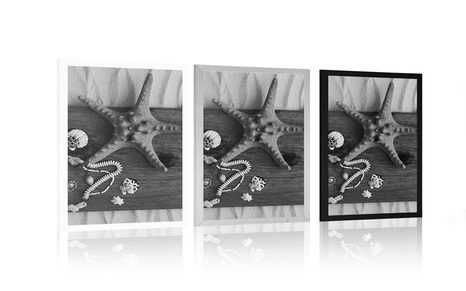 POSTER MEERESSCHÄTZE AUF HOLZ IN SCHWARZ-WEISS - SCHWARZ-WEISS - POSTER