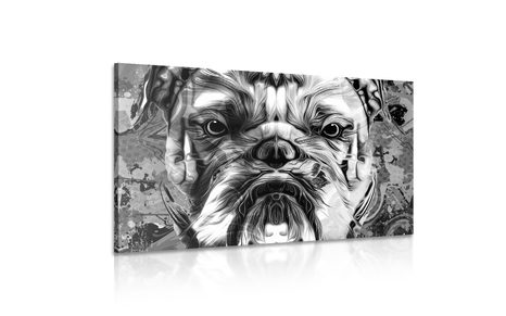 OBRAZ BULDOČEK V ČERNOBÍLÉM PROVEDENÍ - ČERNOBÍLÉ OBRAZY - OBRAZY