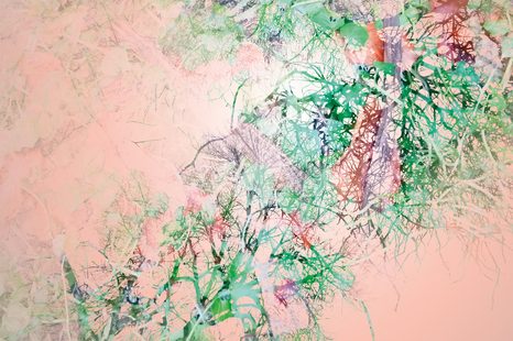 CARTA DA PARATI – RAMI ASTRATTI - CARTA DA PARATI ASTRATTI - CARTA DA PARATI