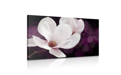 OBRAZ KVĚT MAGNÓLIE NA ABSTRAKTNÍM POZADÍ - OBRAZY KVĚTŮ - OBRAZY