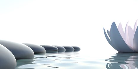 ΕΙΚΌΝΑ ΛΟΥΛΟΥΔΙΟΎ ΛΩΤΟΎ ΚΑΙ ΠΈΤΡΕΣ ΖΕΝ - ΠΊΝΑΚΕΣ ΦΕΝΓΚ ΣΟΎΙ - ΠΊΝΑΚΕΣ