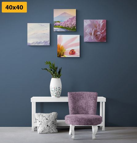 BILDER-SET BEZAUBERNDE ZARTE NATUR - BILDERSETS - BILDER