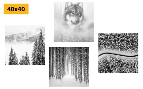 CANVAS PRINT SET WOLF IN A MYSTERIOUS FOREST IN BLACK AND WHITE - SET OF PICTURES - PICTURES