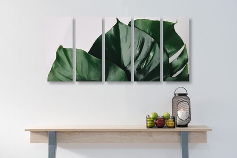 5-RÉSZES KÉP KÖNNYEZŐPÁLMA LEVELE - CSENDÉLET KÉPEKEN - KÉPEK