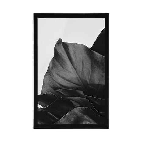 PLAKÁT OKOUZLUJÍCÍ DOPIS MONSTERY V ČERNOBÍLÉM PROVEDENÍ - KVĚTINY - PLAKÁTY