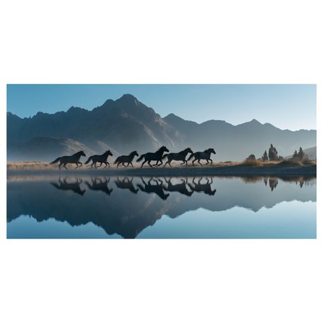 WANDBILD WILDER LAUF AM SEE - BILDER VON PFERDEN - BILDER