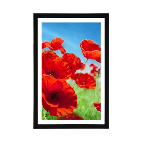 POSTER WITH MOUNT POPPY FLOWERS IN THE MEADOW - FLOWERS - POSTERS
