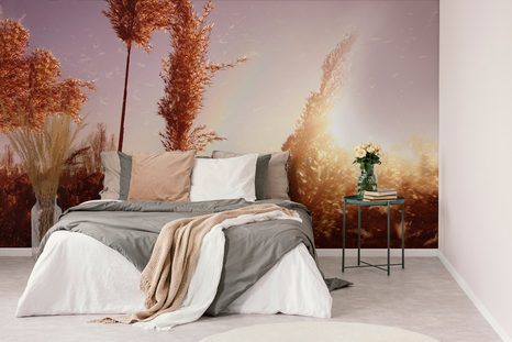 CARTA DA PARATI – ATMOSFERA AUTUNNALE - CARTA DA PARATI ALBA E TRAMONTO - CARTA DA PARATI