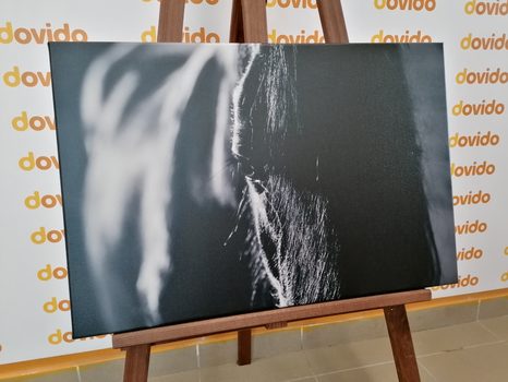 KÉP FENSÉGES LÓ FEKETE FEHÉRBEN - FEKETE-FEHÉR KÉPEK - KÉPEK