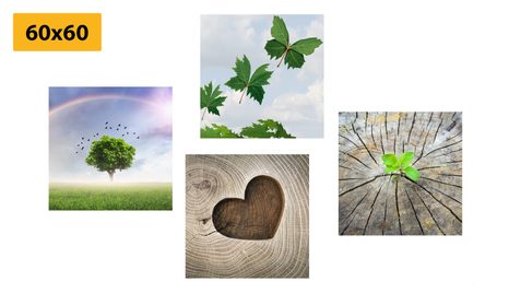 ΣΕΤ ΕΙΚΌΝΩΝ ΜΟΝΑΔΙΚΈΣ ΓΩΝΙΈΣ ΤΗΣ ΦΎΣΗΣ - ΣΎΝΟΛΟ ΠΊΝΑΚΕΣ - ΠΊΝΑΚΕΣ