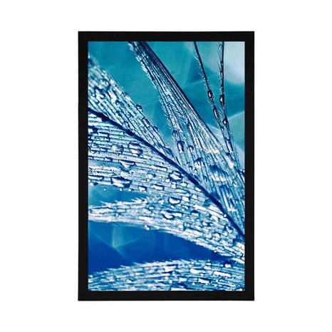 POSTER MORGENTAUTROPFEN - STILLLEBEN - POSTER