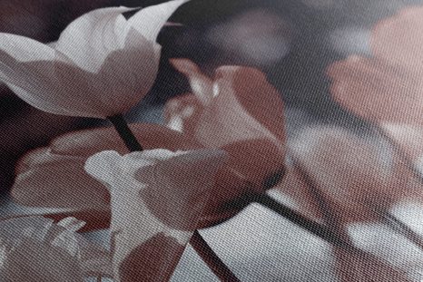 SLIKA SPOMLADANSKI TULIPANI V PARKU - SLIKE ROŽ - SLIKE