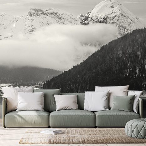 WALL MURAL WINTER LANDSCAPE IN BLACK AND WHITE - BLACK AND WHITE WALLPAPERS - WALLPAPERS