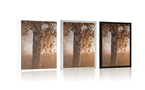 POSTER NEBLIGER HERBSTWALD - NATUR - POSTER
