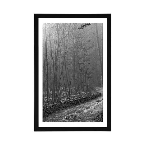 AFFICHE – CHEMIN VERS LA FORÊT EN NOIR ET BLANC - NOIR ET BLANC - AFFICHES