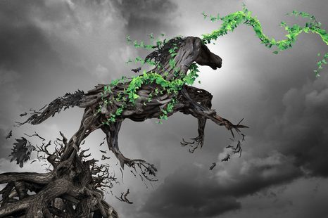 TABLOU INEDIT CAL - TABLOURI ANIMALE - TABLOURI