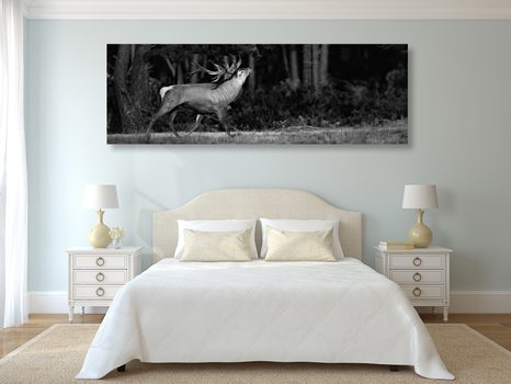 WANDBILD MAJESTÄTISCHER HIRSCH IN SCHWARZ-WEISS - SCHWARZ-WEISSE BILDER - BILDER