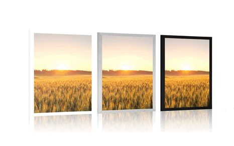 POSTER SUNSET OVER THE FIELD - NATURE - POSTERS