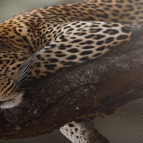 WANDBILD LEOPARD RUHT AUF EINEM BAUM - BILDER VON LÖWEN UND TIGERN - BILDER