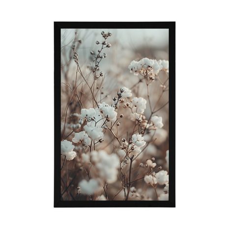 POSZTER GYAPOTNÖVÉNY. - BOTANIKUS - POSZTEREK