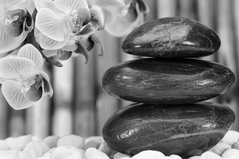 OBRAZ JAPONSKÁ ZEN ZAHRADA V ČERNOBÍLÉM PROVEDENÍ - ČERNOBÍLÉ OBRAZY - OBRAZY