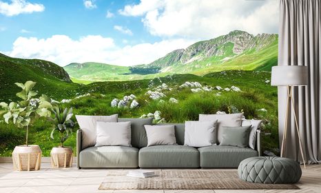 SAMOLEPÍCÍ FOTOTAPETA ÚDOLÍ V ČERNÉ HOŘE - SAMOLEPÍCÍ TAPETY - TAPETY