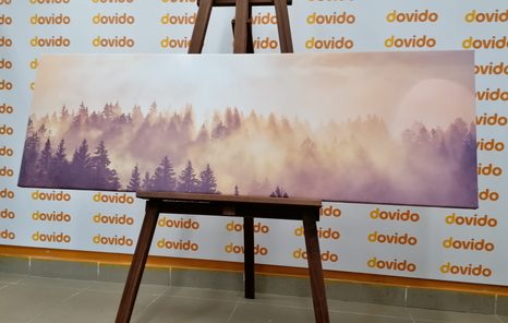 TABLOU CEAȚĂ DEASUPRA PĂDURII - TABLOU NATURĂ ȘI PEISAJE NATURALE - TABLOURI