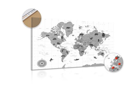 OBRAZ NA KORKU MAPA SE ZVÍŘATY V ČERNOBÍLÉM PROVEDENÍ - OBRAZY NA KORKU - OBRAZY