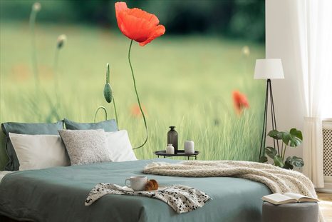 ΑΥΤΟΚΌΛΛΗΤΗ ΤΟΙΧΟΓΡΑΦΊΑ ΜΟΝΑΧΙΚΉ ΠΑΠΑΡΟΎΝΑ - ΑΥΤΟΚΌΛΛΗΤΕΣ ΤΑΠΕΤΣΑΡΊΕΣ - ΤΑΠΕΤΣΑΡΊΕΣ