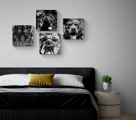 BILDER-SET TIERE IN SCHWARZ-WEISS IM POP-ART-STIL - BILDERSETS - BILDER