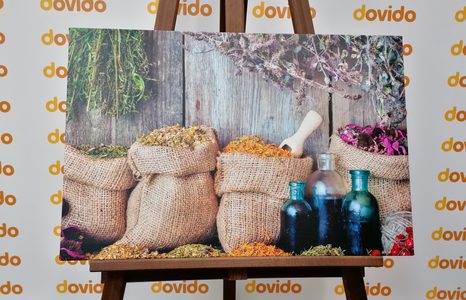 QUADRO SU TELA – ERBE MEDICINALI - QUADRI DI CIBI E BEVANDE - STAMPE E QUADRI