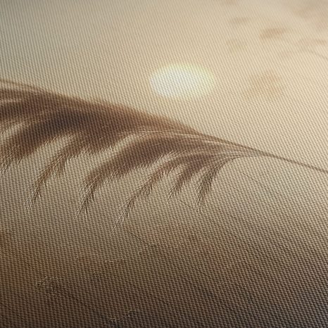 WANDBILD SCHILF IM NEBLIGEN MORGENGRAUEN - BILDER VON SONNENAUFGANG UND SONNENUNTERGANG - BILDER