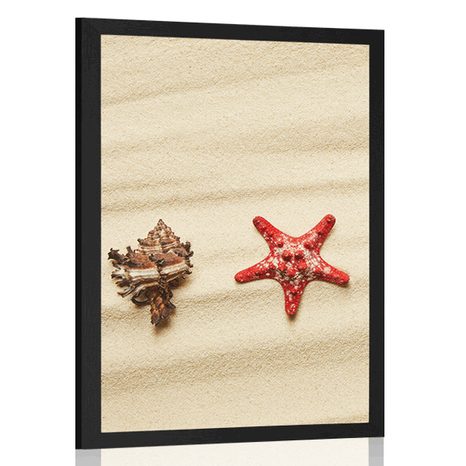 POSTER – CONCHIGLIE SULLA SPIAGGIA SABBIOSA - ANCORA VITA - POSTER