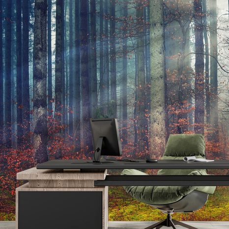WALL MURAL THE SECRET OF THE FOREST - WALLPAPERS NATURE - WALLPAPERS
