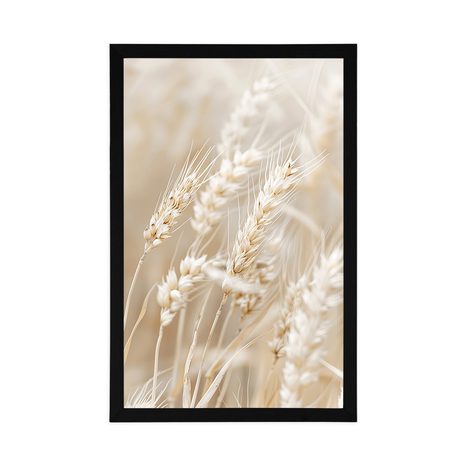 PLAKAT VLATI PŠENICE - BOTANIČKI - PLAKATI