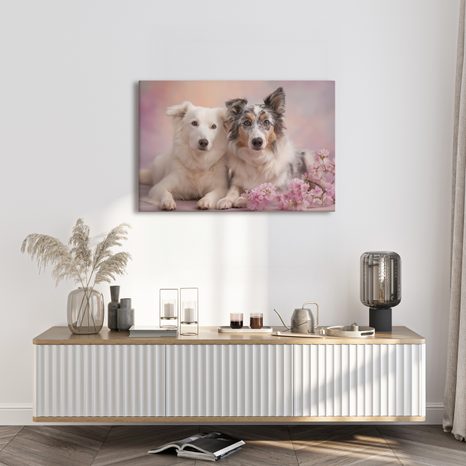 OBRAZ PSI PŘÁTELSTVÍ V KVĚTECH - OBRAZY PSI - OBRAZY