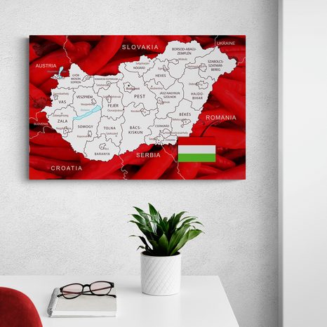 QUADRO IN SUGHERO – MAPPA DELL'UNGHERIA CON SFONDO TIPICO - QUADRI SU SUGHERO - STAMPE E QUADRI