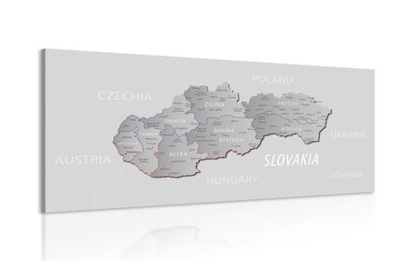 OBRAZ ŠEDÁ MAPA SLOVENSKA S DECENTNÝM KONTRASTOM - OBRAZY MAPY - OBRAZY