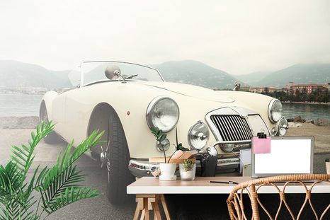 SAMOLEPÍCÍ FOTOTAPETA LUXUSNÍ VETERÁN - SAMOLEPÍCÍ TAPETY - TAPETY