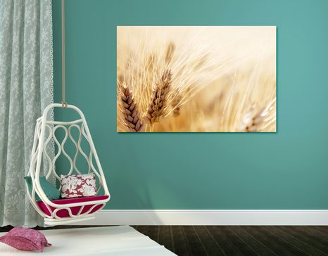 WANDBILD WEIZENFELD - BILDER VON NATUR UND LANDSCHAFT - BILDER