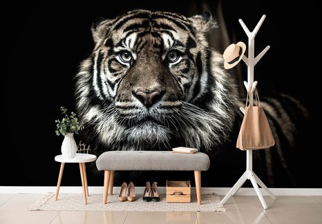 SELBSTKLEBENDE FOTOTAPETE TIGER - SELBSTKLEBENDE TAPETEN - TAPETEN