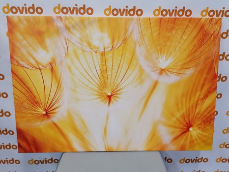 КАРТИНА НА ПЛАТНО – ГЛУХАРЧЕ В ПРЕКРАСНО ИЗПЪЛНЕНИЕ - КАРТИНИ С ЦВЕТЯ - КАРТИНИ