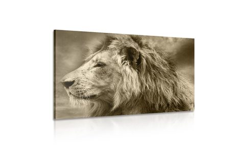 TABLOU LEU AFRICAN ÎN DESIGN SEPIA - TABLOURI ALB-NEGRU - TABLOURI