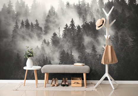 WALL MURAL FOREST IN A BLACK AND WHITE FOG - WALLPAPERS - 🔥 TOTAL SALE 🔥