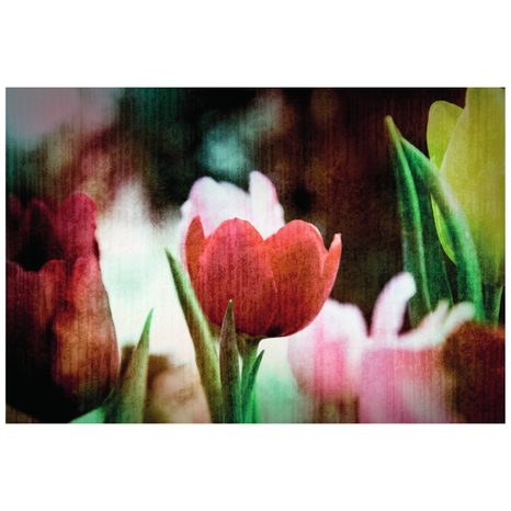 SELBSTKLEBENDE TAPETE WIESE MIT TULPEN IM RETRO-STIL - SELBSTKLEBENDE TAPETEN - TAPETEN