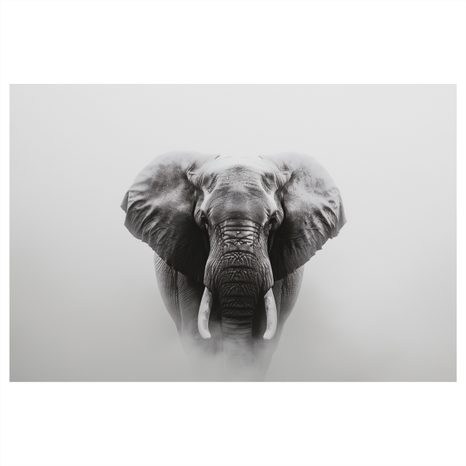 OBRAZ MAJESTÁTNÍ SLON V MLZE - OBRAZY SLONI - OBRAZY