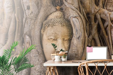 FOTOTAPETE BUDDHAS HEILIGER FEIGENBAUM - TAPETEN MIT FENG SHUI-MOTIVEN - TAPETEN