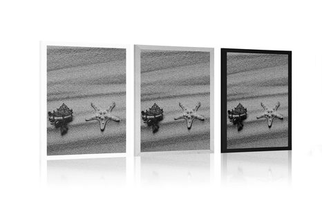 PLAKAT MUSZLE NA PIASZCZYSTEJ PLAŻY W CZERNI I BIELI - CZARNOBIAŁE - PLAKATY