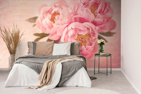 TAPETA NĚŽNÁ PIVOŇKA - TAPETY KVĚTINY - TAPETY